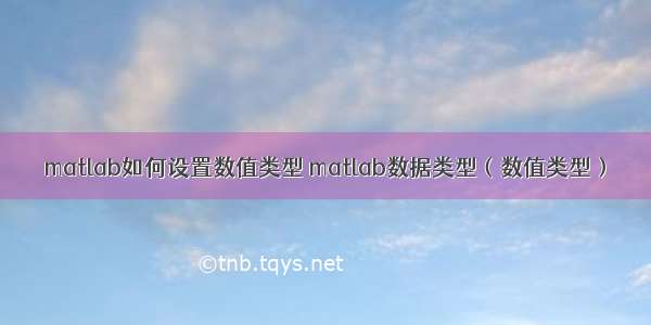 matlab如何设置数值类型 matlab数据类型（数值类型）