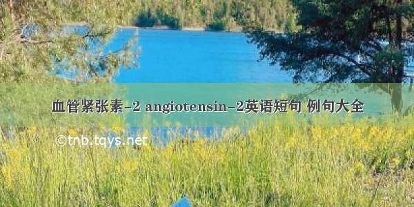 血管紧张素-2 angiotensin-2英语短句 例句大全