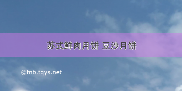 苏式鲜肉月饼 豆沙月饼