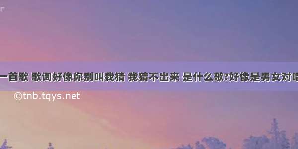 有一首歌 歌词好像你别叫我猜 我猜不出来 是什么歌?好像是男女对唱的