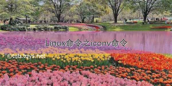 Linux命令之iconv命令