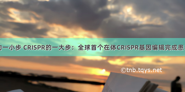 张锋的一小步 CRISPR的一大步：全球首个在体CRISPR基因编辑完成患者给药