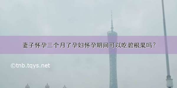 妻子怀孕三个月了孕妇怀孕期间可以吃碧根果吗？