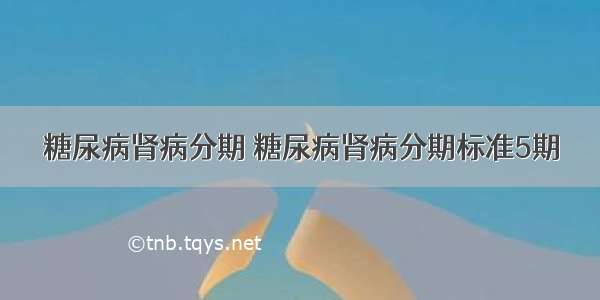 糖尿病肾病分期 糖尿病肾病分期标准5期