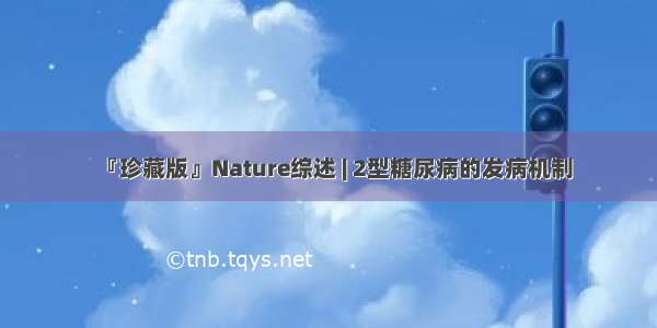 『珍藏版』Nature综述 | 2型糖尿病的发病机制