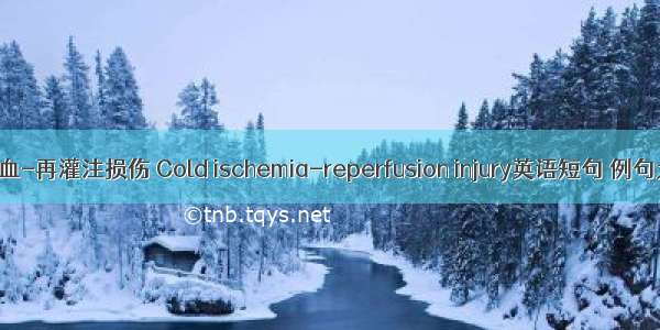 冷缺血-再灌注损伤 Cold ischemia-reperfusion injury英语短句 例句大全