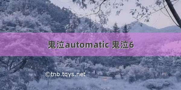 鬼泣automatic 鬼泣6