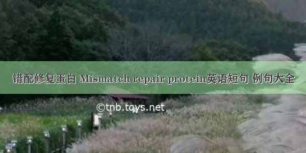 错配修复蛋白 Mismatch repair protein英语短句 例句大全