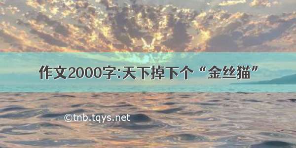 作文2000字:天下掉下个“金丝猫”