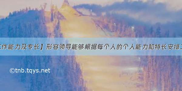 【工作能力及专长】形容领导能够根据每个人的个人能力和特长安排工作...