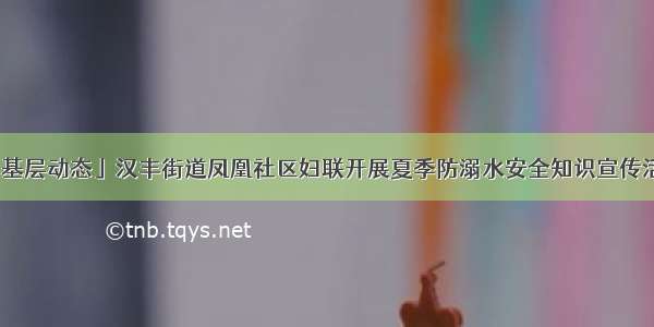 「基层动态」汉丰街道凤凰社区妇联开展夏季防溺水安全知识宣传活动