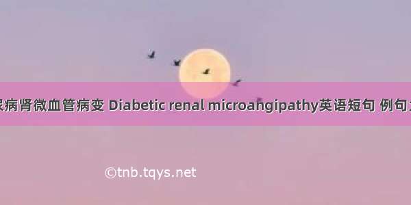 糖尿病肾微血管病变 Diabetic renal microangipathy英语短句 例句大全