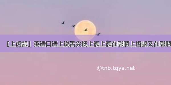 【上齿龈】英语口语上说舌尖抵上颚上颚在哪啊上齿龈又在哪啊