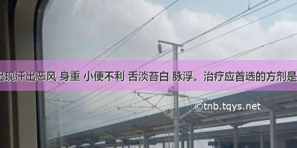 某患者 出现汗出恶风 身重 小便不利 舌淡苔白 脉浮。治疗应首选的方剂是A.桂枝汤