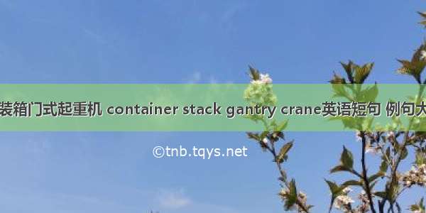 集装箱门式起重机 container stack gantry crane英语短句 例句大全