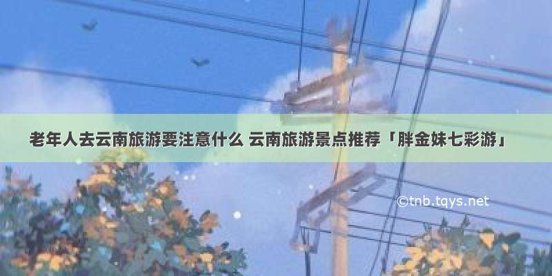 老年人去云南旅游要注意什么 云南旅游景点推荐「胖金妹七彩游」