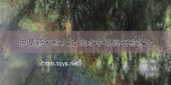 中草药名称大全 泡水中草药名称大全