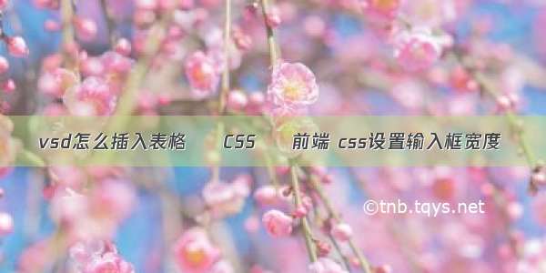 vsd怎么插入表格 – CSS – 前端 css设置输入框宽度