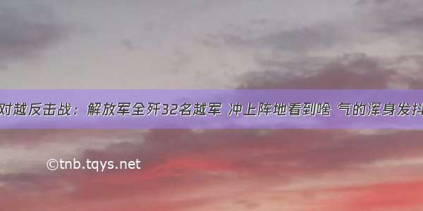 对越反击战：解放军全歼32名越军 冲上阵地看到啥 气的浑身发抖