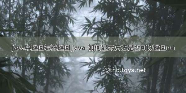 java中返回怎样返回 java-如何显示方法是否可以返回nu