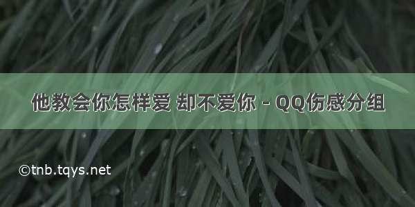 他教会你怎样爱 却不爱你 - QQ伤感分组