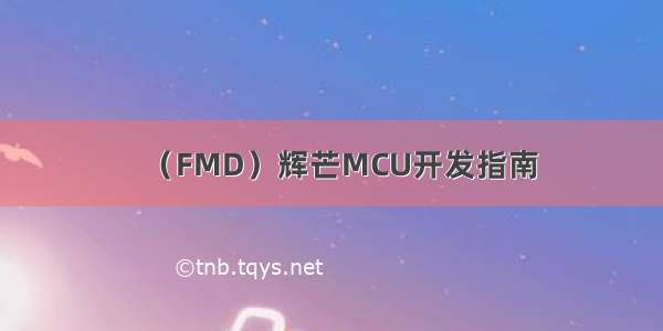 （FMD）辉芒MCU开发指南