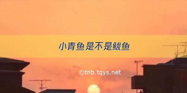 小青鱼是不是鲅鱼