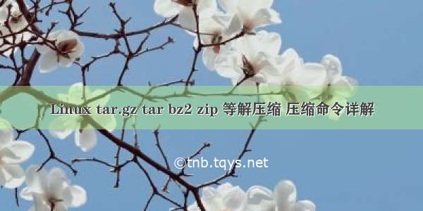 Linux tar.gz tar bz2 zip 等解压缩 压缩命令详解