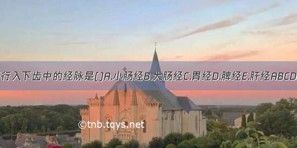 循行入下齿中的经脉是()A.小肠经B.大肠经C.胃经D.脾经E.肝经ABCDE