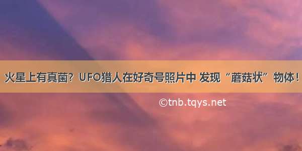 火星上有真菌？UFO猎人在好奇号照片中 发现“蘑菇状”物体！