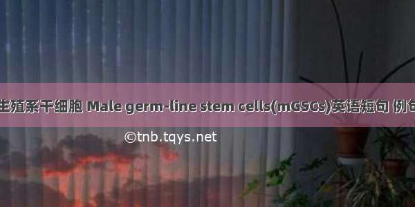 雄性生殖系干细胞 Male germ-line stem cells(mGSCs)英语短句 例句大全