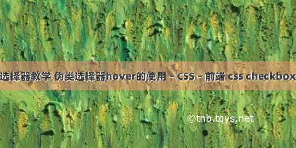 css3选择器教学 伪类选择器hover的使用 – CSS – 前端 css checkbox 大小