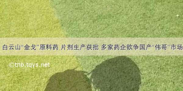 白云山“金戈”原料药 片剂生产获批 多家药企欲争国产“伟哥”市场