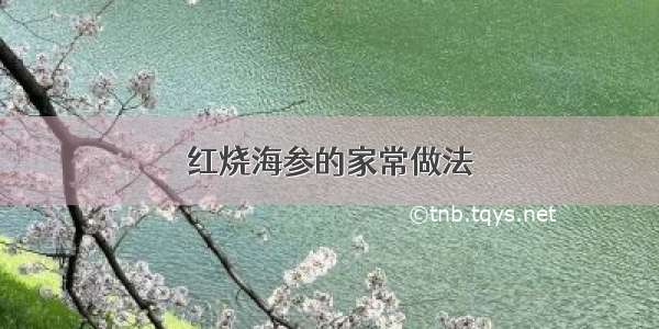 红烧海参的家常做法