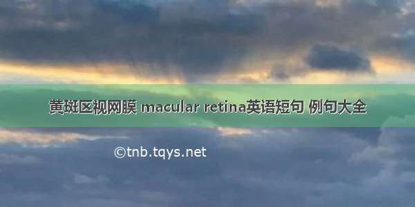 黄斑区视网膜 macular retina英语短句 例句大全