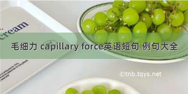 毛细力 capillary force英语短句 例句大全