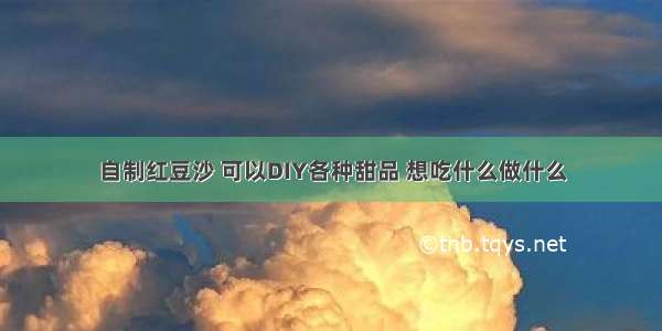 自制红豆沙 可以DIY各种甜品 想吃什么做什么