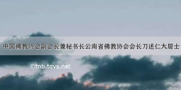 中国佛教协会副会长兼秘书长云南省佛教协会会长刀述仁大居士