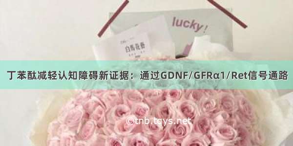 丁苯酞减轻认知障碍新证据：通过GDNF/GFRα1/Ret信号通路