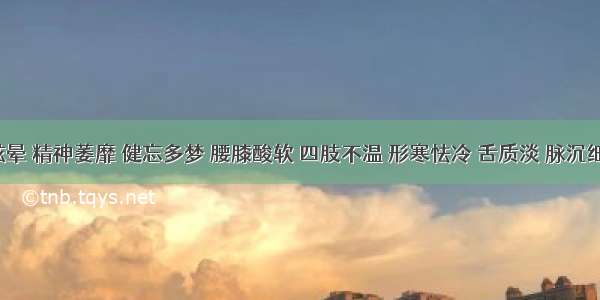 患者眩晕 精神萎靡 健忘多梦 腰膝酸软 四肢不温 形寒怯冷 舌质淡 脉沉细无力。