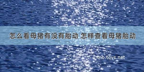 怎么看母猪有没有胎动 怎样查看母猪胎动