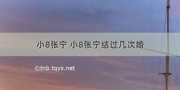 小8张宁 小8张宁结过几次婚