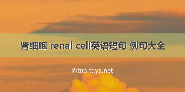 肾细胞 renal cell英语短句 例句大全