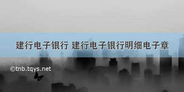 建行电子银行 建行电子银行明细电子章