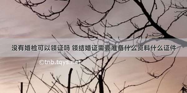 没有婚检可以领证吗 领结婚证需要准备什么资料什么证件