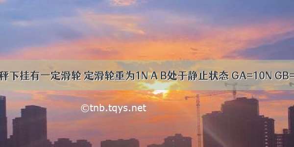 如图 弹簧秤下挂有一定滑轮 定滑轮重为1N A B处于静止状态 GA=10N GB=100N 则