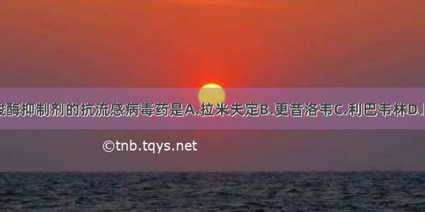 属于神经氨酸酶抑制剂的抗流感病毒药是A.拉米夫定B.更昔洛韦C.利巴韦林D.阿德福韦酯E.