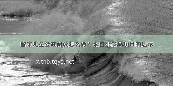 留守儿童公益阅读怎么做？来自小候鸟项目的启示