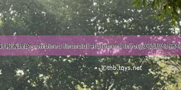 合并会计报表理论 combined financial statement theory英语短句 例句大全