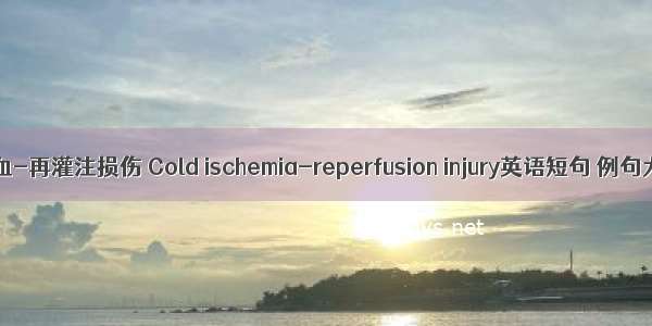 冷缺血-再灌注损伤 Cold ischemia-reperfusion injury英语短句 例句大全